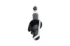 Stoßdämpfer Vorderachse rechts KAVO PARTS SSA-11189 Bild Stoßdämpfer Vorderachse rechts KAVO PARTS SSA-11189