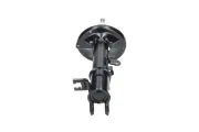 Stoßdämpfer Hinterachse rechts KAVO PARTS SSA-11234
