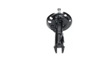Stoßdämpfer Vorderachse rechts KAVO PARTS SSA-11449