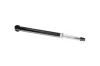 Stoßdämpfer Hinterachse KAVO PARTS SSA-3010 Bild Stoßdämpfer Hinterachse KAVO PARTS SSA-3010