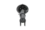 Stoßdämpfer Vorderachse rechts KAVO PARTS SSA-4017