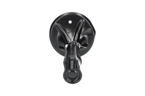 Stoßdämpfer Vorderachse KAVO PARTS SSA-5530 Bild Stoßdämpfer Vorderachse KAVO PARTS SSA-5530