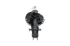Stoßdämpfer Vorderachse rechts KAVO PARTS SSA-6517