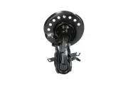 Stoßdämpfer Vorderachse rechts KAVO PARTS SSA-6528