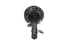 Sto&szlig;d&auml;mpfer Vorderachse rechts KAVO PARTS SSA-6595