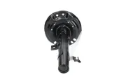 Stoßdämpfer Vorderachse rechts KAVO PARTS SSA-6595