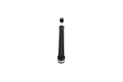 Stoßdämpfer Hinterachse KAVO PARTS SSA-9086