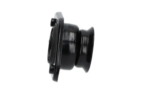 Federbeinstützlager Hinterachse KAVO PARTS SSM-10117 Bild Federbeinstützlager Hinterachse KAVO PARTS SSM-10117
