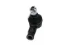 Spurstangenkopf KAVO PARTS STE-2019 Bild Spurstangenkopf KAVO PARTS STE-2019