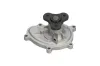 Wasserpumpe, Motorkühlung KAVO PARTS SW-1667 Bild Wasserpumpe, Motorkühlung KAVO PARTS SW-1667