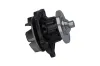 Wasserpumpe, Motorkühlung KAVO PARTS TW-1145 Bild Wasserpumpe, Motorkühlung KAVO PARTS TW-1145