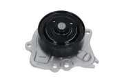 Wasserpumpe, Motorkühlung KAVO PARTS TW-5169