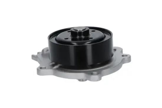 Wasserpumpe, Motorkühlung KAVO PARTS TW-5169 Bild Wasserpumpe, Motorkühlung KAVO PARTS TW-5169