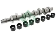 Nockenwellensatz Schaeffler INA 428 0042 30