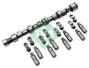 Nockenwellensatz Schaeffler INA 428 0043 30