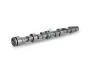 Nockenwelle Schaeffler INA 428 0049 10 Bild Nockenwelle Schaeffler INA 428 0049 10