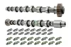 Nockenwellensatz Schaeffler INA 428 0059 30