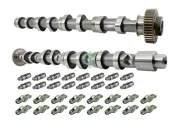 Nockenwellensatz Schaeffler INA 428 0059 30