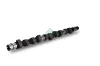 Nockenwelle Schaeffler INA 428 0065 10 Bild Nockenwelle Schaeffler INA 428 0065 10