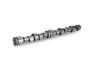 Nockenwelle Schaeffler INA 428 0095 10 Bild Nockenwelle Schaeffler INA 428 0095 10