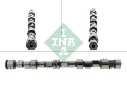 Nockenwelle Schaeffler INA 428 0096 10