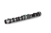 Nockenwelle Einlassseite Schaeffler INA 428 0102 10 Bild Nockenwelle Einlassseite Schaeffler INA 428 0102 10