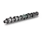 Nockenwelle Schaeffler INA 428 0111 10 Bild Nockenwelle Schaeffler INA 428 0111 10