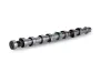 Nockenwelle Schaeffler INA 428 0118 10 Bild Nockenwelle Schaeffler INA 428 0118 10