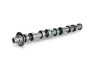 Nockenwelle Auslassseite Schaeffler INA 428 0120 10 Bild Nockenwelle Auslassseite Schaeffler INA 428 0120 10