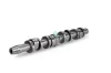 Nockenwelle Auslassseite Schaeffler INA 428 0123 10 Bild Nockenwelle Auslassseite Schaeffler INA 428 0123 10