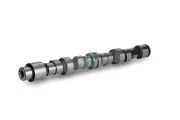 Nockenwelle Schaeffler INA 428 0124 10