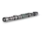 Nockenwelle Schaeffler INA 428 0124 10 Bild Nockenwelle Schaeffler INA 428 0124 10