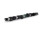 Nockenwelle Schaeffler INA 428 0139 10 Bild Nockenwelle Schaeffler INA 428 0139 10