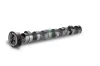 Nockenwelle Auslassseite für Zylinder 1-3 Schaeffler INA 428 0155 10 Bild Nockenwelle Auslassseite für Zylinder 1-3 Schaeffler INA 428 0155 10