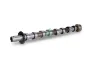 Nockenwelle Einlassseite Schaeffler INA 428 0160 10 Bild Nockenwelle Einlassseite Schaeffler INA 428 0160 10