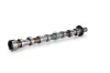 Nockenwelle Einlassseite Schaeffler INA 428 0160 10 Bild Nockenwelle Einlassseite Schaeffler INA 428 0160 10