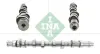 Nockenwelle Schaeffler INA 428 0161 10