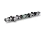 Nockenwelle Schaeffler INA 428 0161 10 Bild Nockenwelle Schaeffler INA 428 0161 10