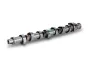 Nockenwelle Schaeffler INA 428 0161 10 Bild Nockenwelle Schaeffler INA 428 0161 10