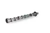 Nockenwelle Auslassseite Schaeffler INA 428 0168 10 Bild Nockenwelle Auslassseite Schaeffler INA 428 0168 10