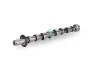 Nockenwelle Auslassseite Schaeffler INA 428 0168 10 Bild Nockenwelle Auslassseite Schaeffler INA 428 0168 10