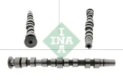 Nockenwelle Schaeffler INA 428 0169 10