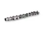 Nockenwelle Einlassseite Schaeffler INA 428 0175 10 Bild Nockenwelle Einlassseite Schaeffler INA 428 0175 10