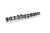 Nockenwelle Einlassseite Schaeffler INA 428 0175 10 Bild Nockenwelle Einlassseite Schaeffler INA 428 0175 10