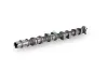 Nockenwelle Auslassseite Schaeffler INA 428 0176 10 Bild Nockenwelle Auslassseite Schaeffler INA 428 0176 10