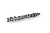 Nockenwelle Auslassseite Schaeffler INA 428 0176 10 Bild Nockenwelle Auslassseite Schaeffler INA 428 0176 10