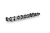 Nockenwelle Einlassseite Schaeffler INA 428 0178 10 Bild Nockenwelle Einlassseite Schaeffler INA 428 0178 10