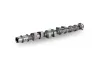 Nockenwelle Einlassseite Schaeffler INA 428 0178 10 Bild Nockenwelle Einlassseite Schaeffler INA 428 0178 10