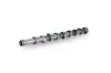 Nockenwelle Schaeffler INA 428 0183 10 Bild Nockenwelle Schaeffler INA 428 0183 10