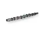 Nockenwelle Einlassseite Schaeffler INA 428 0185 10 Bild Nockenwelle Einlassseite Schaeffler INA 428 0185 10